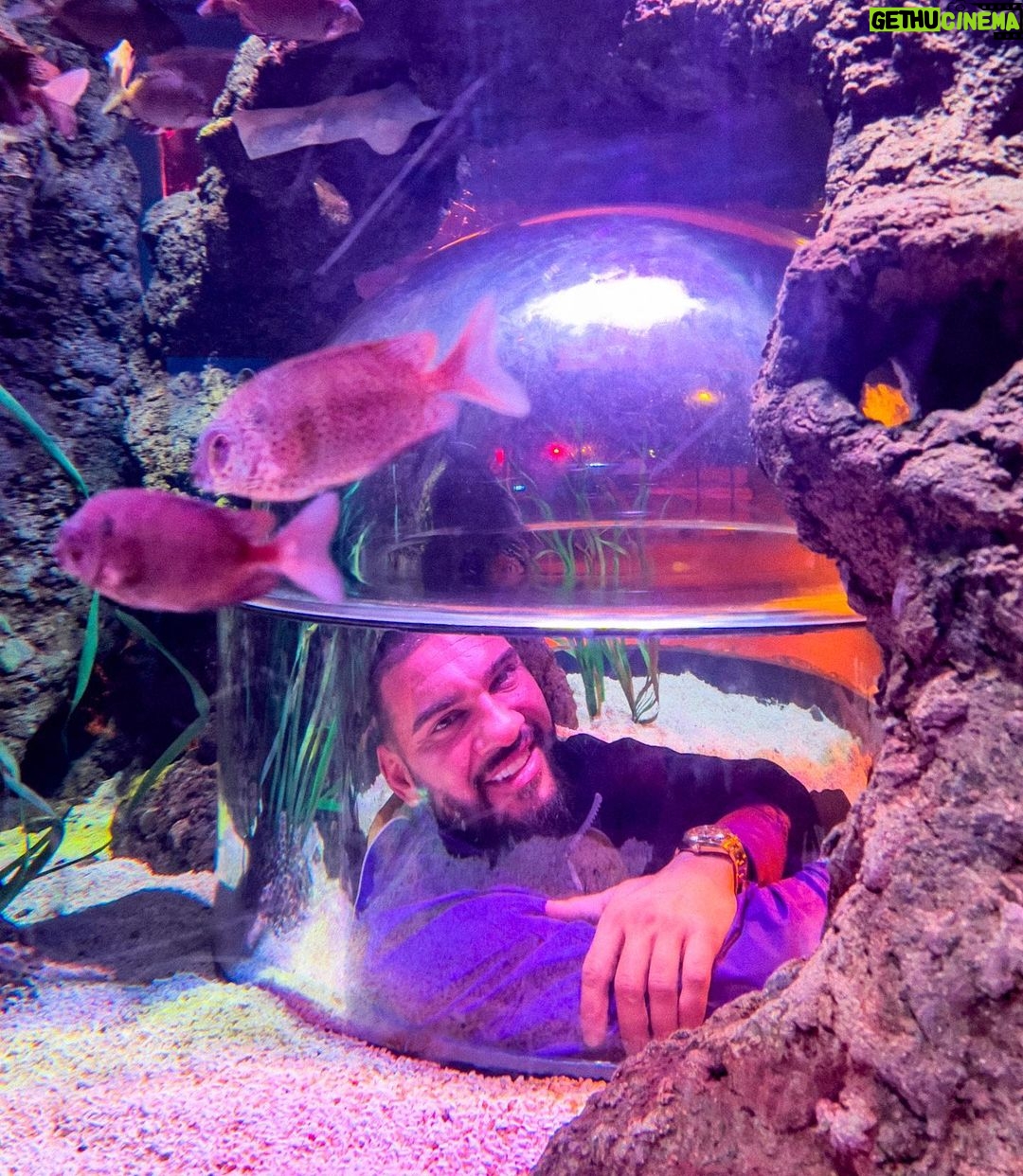 Dorian Popa Instagram - de la 1 la 8.. CARE ⁉️🤔 #underthesea #sealife 🐠 Istanbul, Turkey