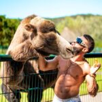 Dorian Popa Instagram - 🤍🤍🤍 ------------------------------------------------------ #animallovers #zoo #camel #zoolife #cuteanimals Frankfurt, Germany