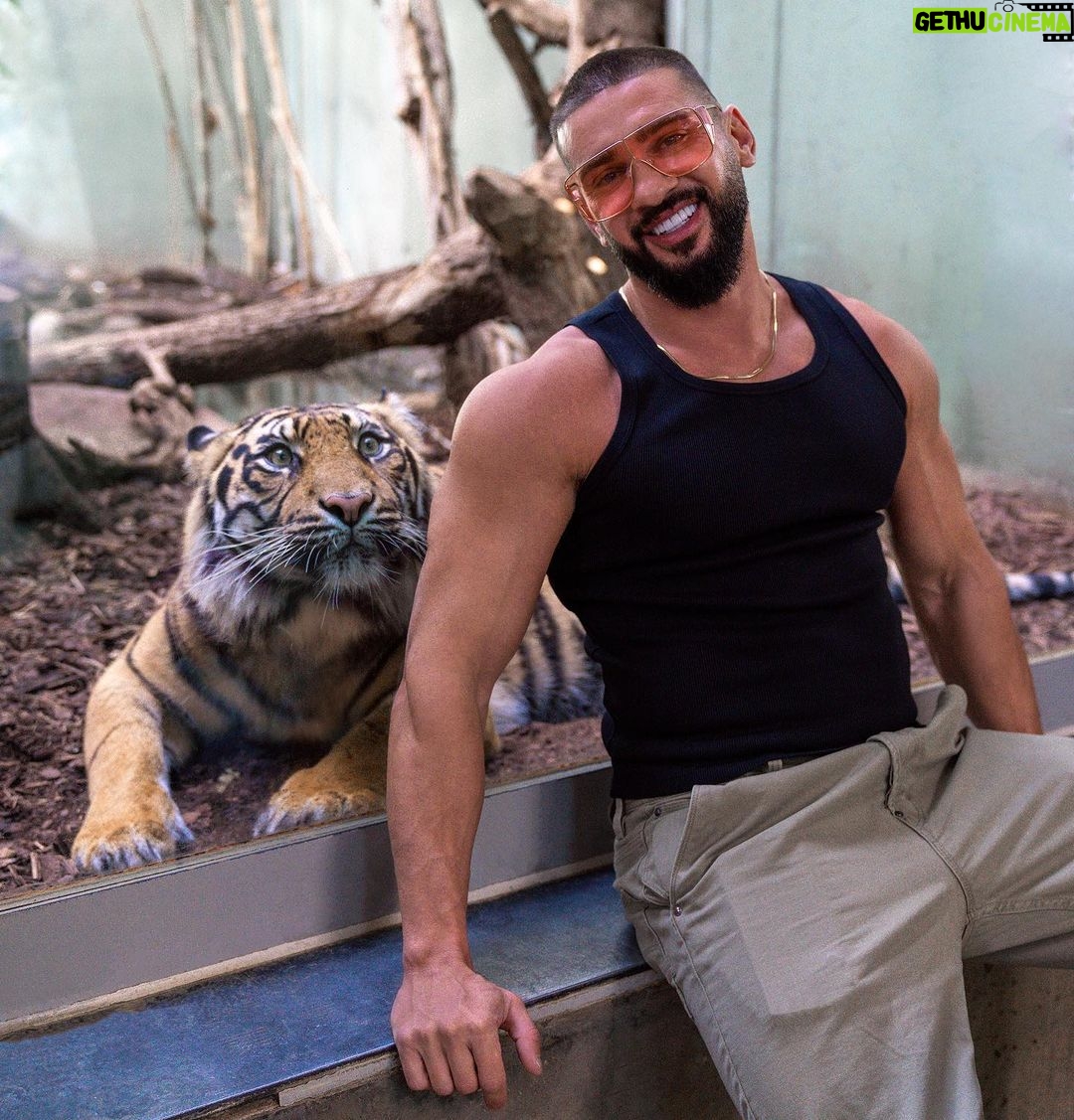 Dorian Popa Instagram - THAT look 👀 Zoo Frankfurt