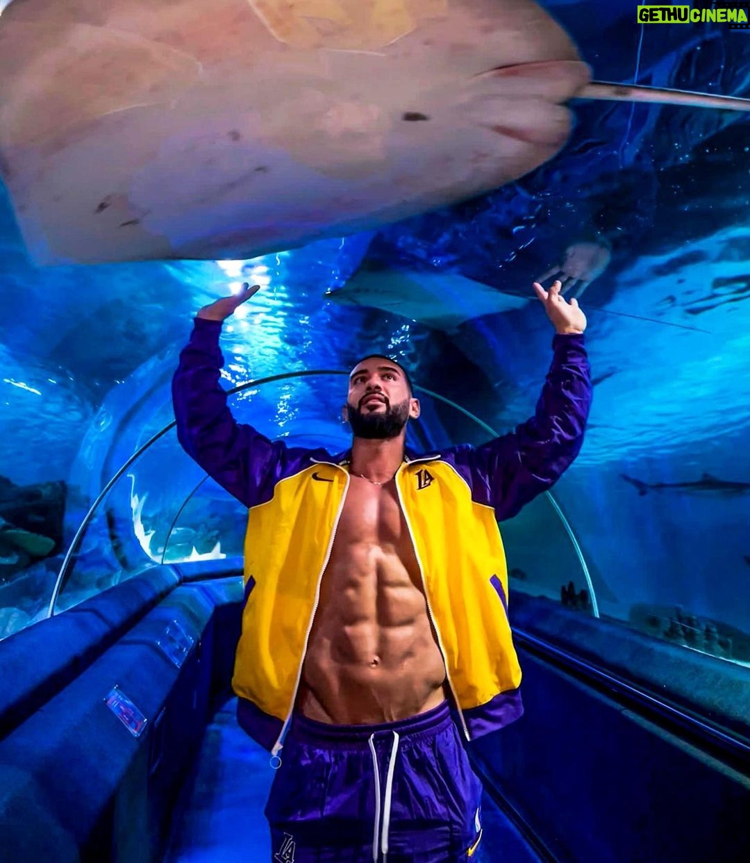 Dorian Popa Instagram - de la 1 la 8.. CARE ⁉️🤔 #underthesea #sealife 🐠 Istanbul, Turkey