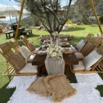 Dorit Kemsley Instagram - Magical day. ✨ Thank you @thepicnic.collective @campdouttents @sipsipmobilebar 🧺🏕️🍹💎 #rhobh