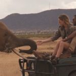 Doutzen Kroes Instagram - I sat down with @james_chau for @thechinacurrent at this year’s @oneyoungworld Summit about how elephant conservation can build a brighter future for our planet. You can listen to the episode via my stories. London, United Kingdom