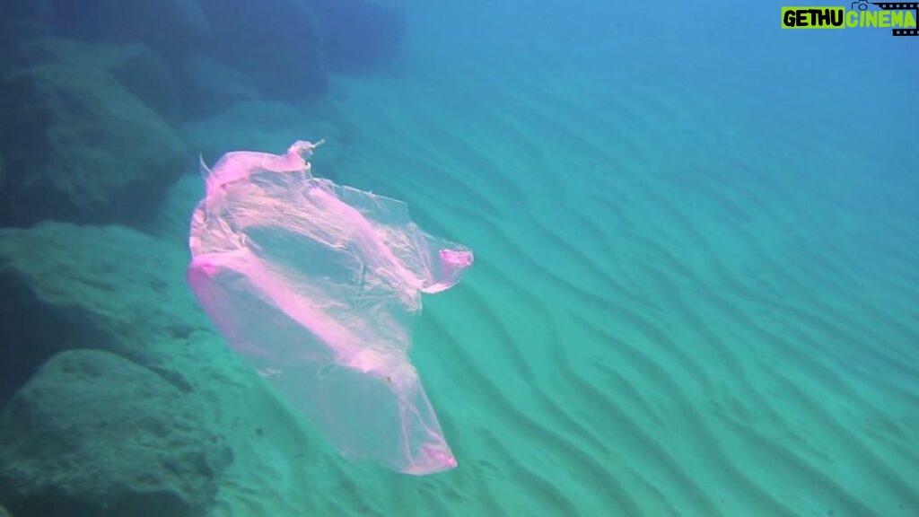 Doutzen Kroes Instagram - Today it’s World Oceans Day - We produce 311 million tons of new plastic every year. More and more plastic waste is floating in our oceans and seas and every year, about 5 million tons end up in it. 90% of seabirds now have plastic in their intestines. If we don’t do anything about the marine pollution, then in 2030 there will be no less than 300 million tonnes of plastic waste in our oceans #worldoceansday