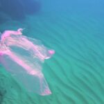 Doutzen Kroes Instagram - Today it’s World Oceans Day - We produce 311 million tons of new plastic every year. More and more plastic waste is floating in our oceans and seas and every year, about 5 million tons end up in it. 90% of seabirds now have plastic in their intestines. If we don’t do anything about the marine pollution, then in 2030 there will be no less than 300 million tonnes of plastic waste in our oceans #worldoceansday