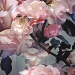 Doutzen Kroes Instagram – Like a painting