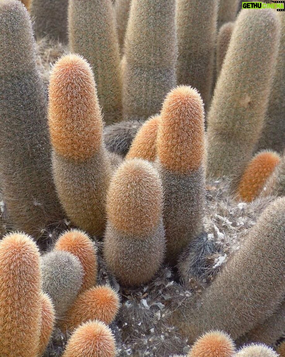 Doutzen Kroes Instagram - Prick - 📸 source unknown Desert, Utah