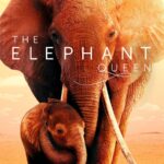 Doutzen Kroes Instagram - The incredible film The Elephant Queen is now on Apple TV+ For all views in 2019 Apple will make a donation to support elephant conservation in Tsavo, Kenya where the film was made. Enjoy the movie and help make a real difference for elephants. ❤️🐘❤️ #GatherTheHerd, #TheElephantQueen