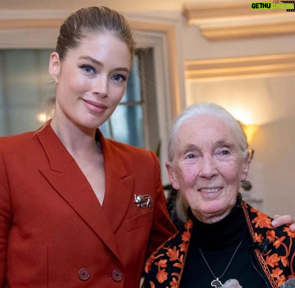 Doutzen Kroes Instagram - Such an honour to talk with dr. Jane Goodall about the climate crisis during the @oneyoungworld Summit this week. She is famous for her study on the social and family life of chimpanzees. Her wisdom gives me so much inspiration and she is such a role model for me. I hope to see you soon Jane. London, United Kingdom