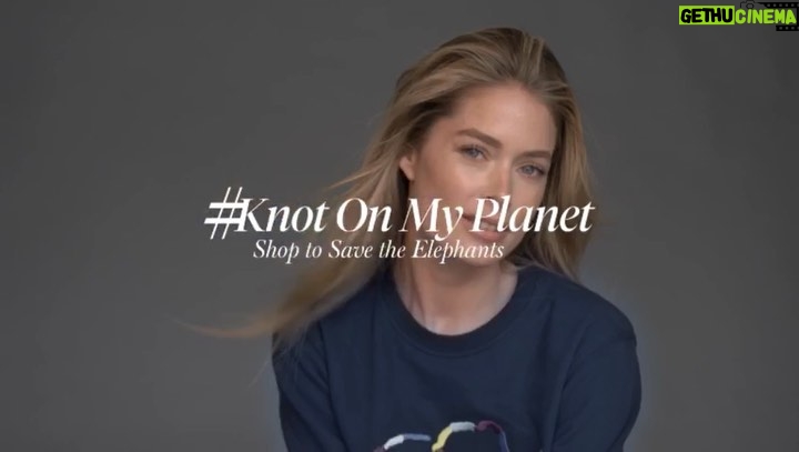 Doutzen Kroes Instagram - I’m so proud to partner again with @holtshproject in support of the @elephantcrisisfund with a special collection from @kotn featuring the iconic illustration by artist @themelodyh, 100% of profits from the exclusive, limited edition collection will be donated to help save elephants. #HProject #Knotonmyplanet #SavetheElephants