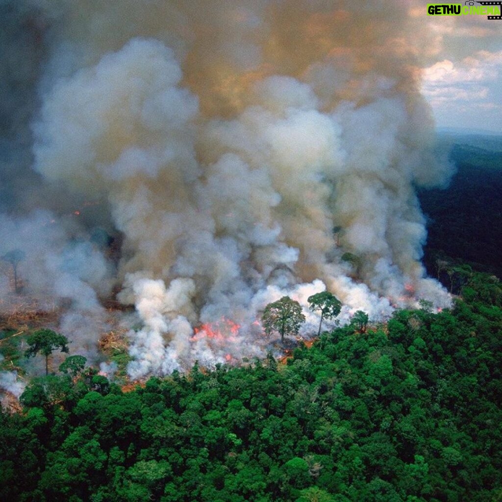 Doutzen Kroes Instagram - In the Brazilian Amazon rainforest 84% more fires were observed compared to a year ago. 74,155 fires have been counted in the year 2019 (which is not even 7 months). An emergency situation for environmental conditions has been declared in various places. The shocking news is that the increase is not due to the dry season, but because of people (!). The president wants to deforest the Amazon, causing farmers to burn the land. The fires have been going on constantly for 3 weeks now and almost none attention is being paid to it in the media. We have to do something about this #PrayForAmazonia #climatechange Amazon Rainforest, South America