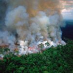 Doutzen Kroes Instagram – In the Brazilian Amazon rainforest 84% more fires were observed compared to a year ago. 74,155 fires have been counted in the year 2019 (which is not even 7 months). An emergency situation for environmental conditions has been declared in various places. The shocking news is that the increase is not due to the dry season, but because of people (!). The president wants to deforest the Amazon, causing farmers to burn the land. The fires have been going on constantly for 3 weeks now and almost none attention is being paid to it in the media. We have to do something about this #PrayForAmazonia #climatechange Amazon Rainforest, South America