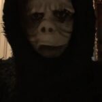 Drake Bell Instagram -