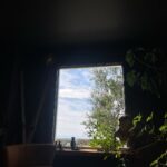 Drew Ray Tanner Instagram - A little dust on the bottle Belfast, Prince Edward Island