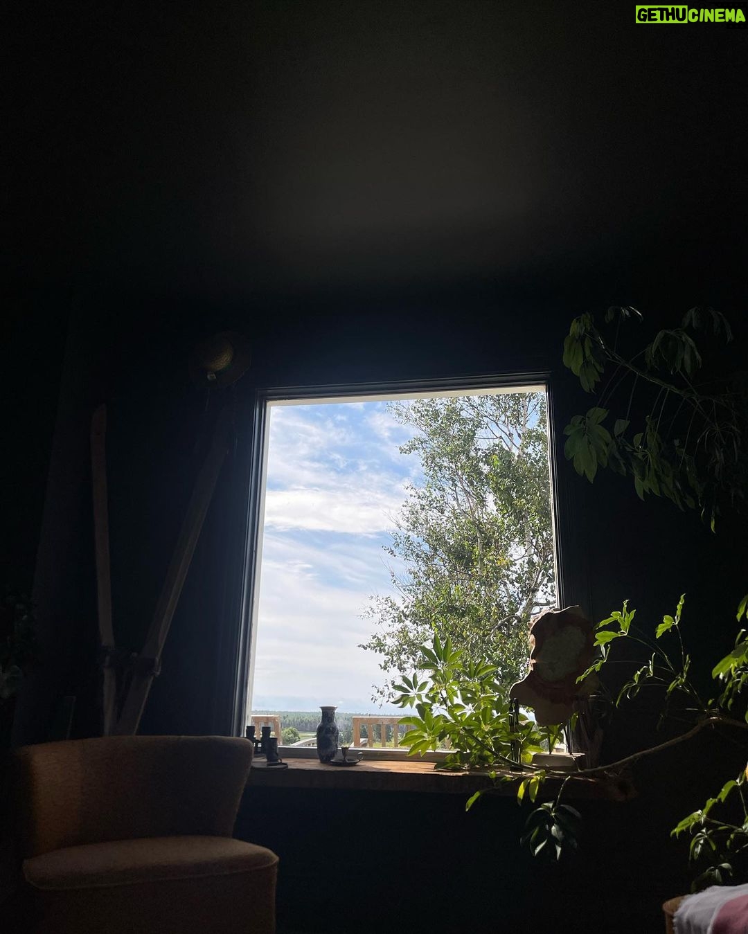Drew Ray Tanner Instagram - A little dust on the bottle Belfast, Prince Edward Island