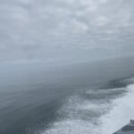 Drew Ray Tanner Instagram - Bae of Fundy Bay Of Fundy