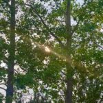 Drew Ray Tanner Instagram - Struck by lightning Longview, Alberta