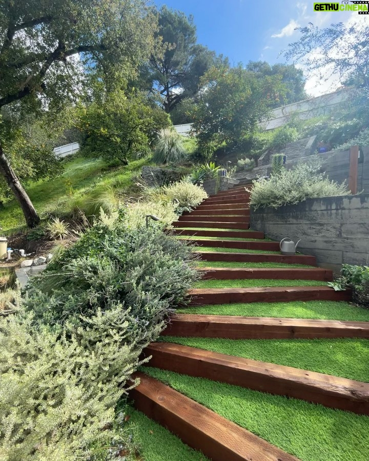Drew Ray Tanner Instagram - The great LA escape Los Angeles, California