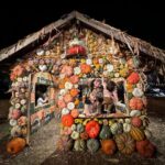Drew Scott Instagram - Parker loves #Halloween. I feel complete 🎃 Desconso Gardens