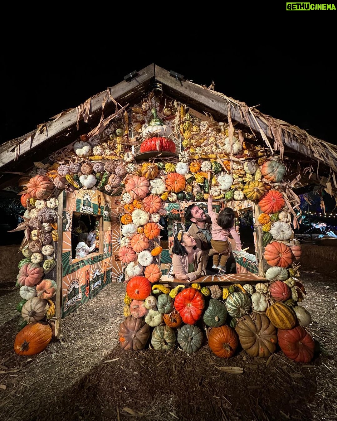 Drew Scott Instagram - Parker loves #Halloween. I feel complete 🎃 Desconso Gardens