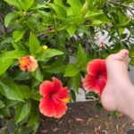 Drew Scott Instagram - Feet & Flowers…all the smells I need! #DadLife
