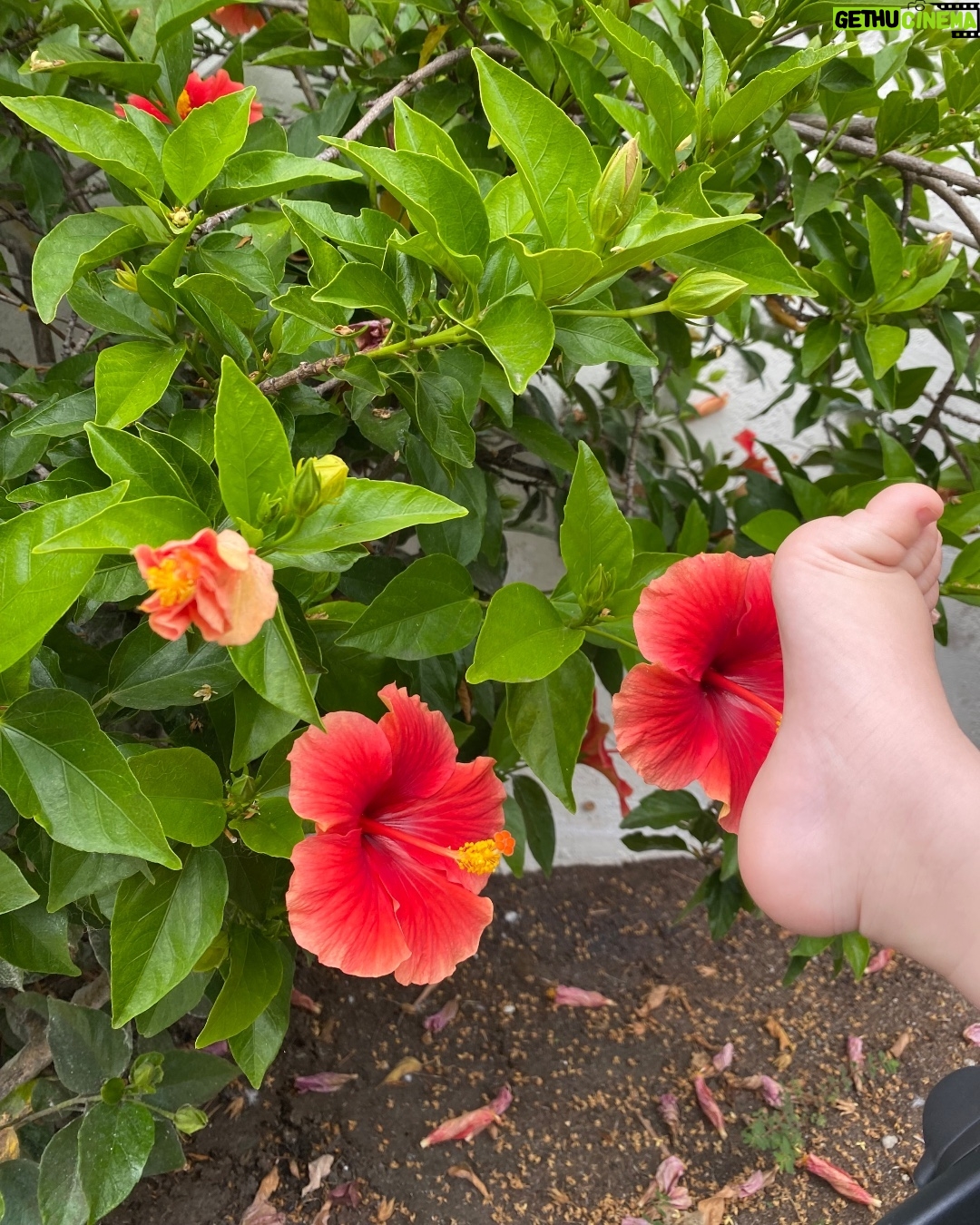 Drew Scott Instagram - Feet & Flowers…all the smells I need! #DadLife