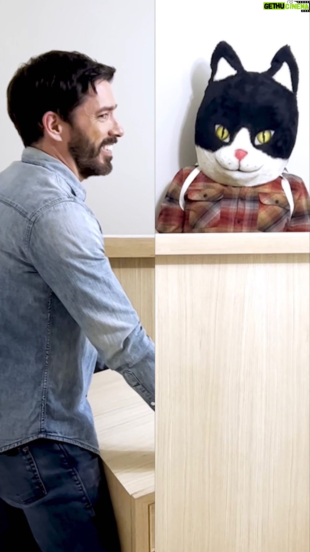 Drew Scott Instagram - Why is it whenever we’re slammed, @jonathanscott just HAS to get weird…🐱