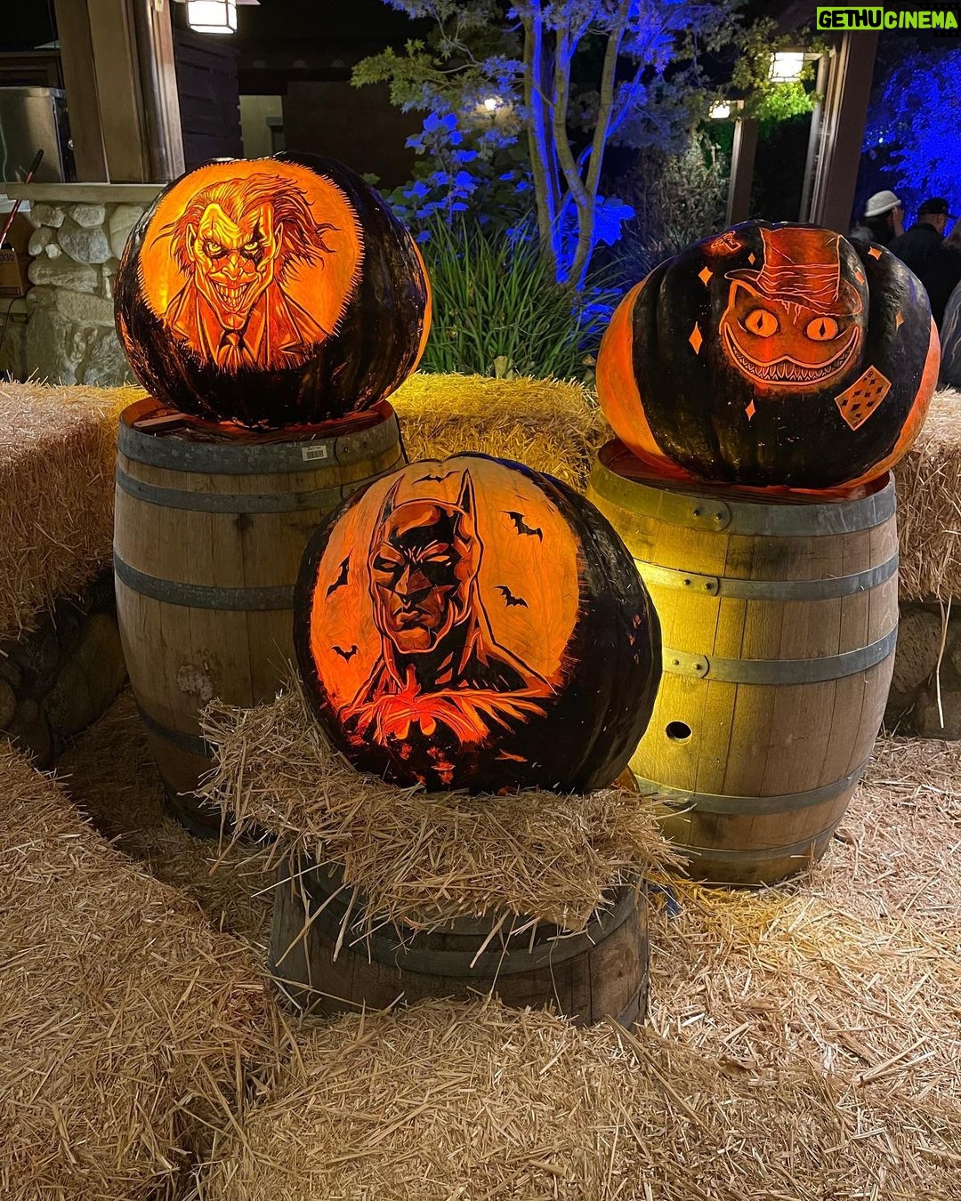 Drew Scott Instagram - Parker loves #Halloween. I feel complete 🎃 Desconso Gardens