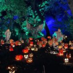 Drew Scott Instagram - Parker loves #Halloween. I feel complete 🎃 Desconso Gardens