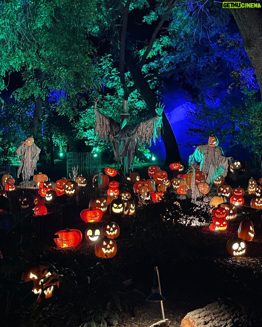 Drew Scott Instagram - Parker loves #Halloween. I feel complete 🎃 Desconso Gardens