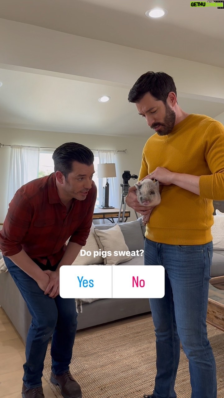 Drew Scott Instagram - Do pigs sweat? Asking for a friend 🤔