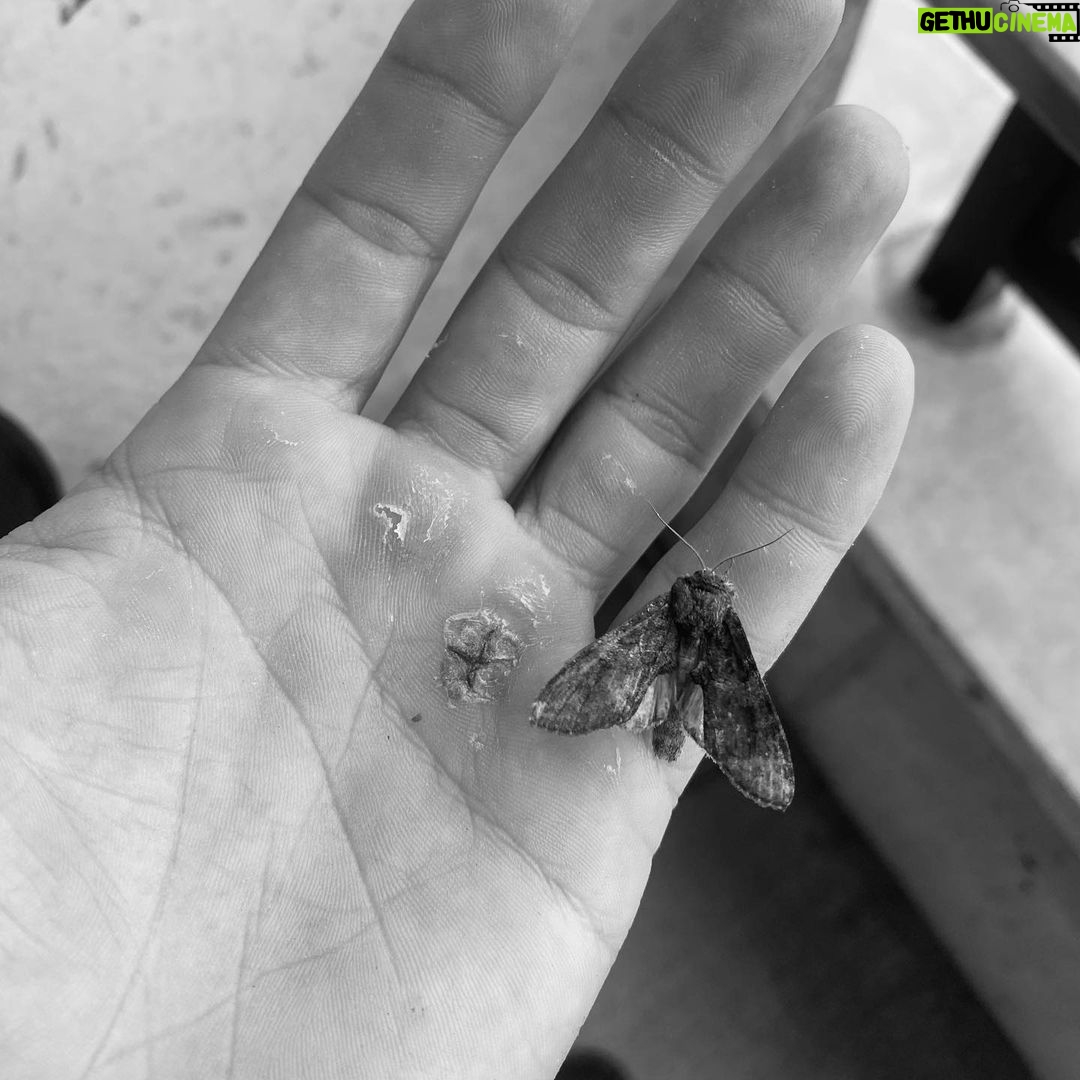 Dylan Sprayberry Instagram - I swear this house is haunted