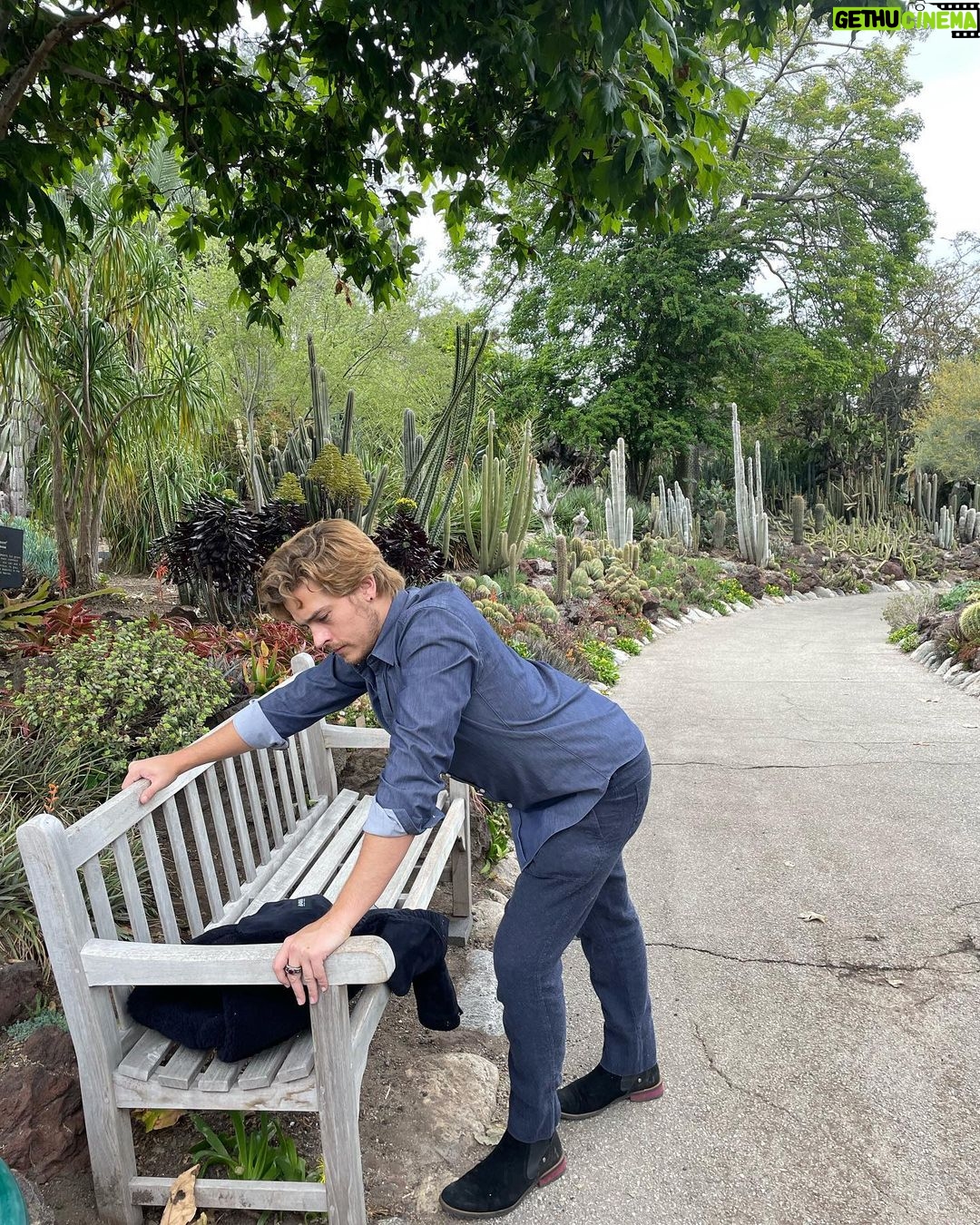 Dylan Sprouse Instagram - POV: you’re with me at the botanical garden baby girl