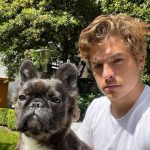 Dylan Sprouse Instagram - These last few weeks in a nutshell