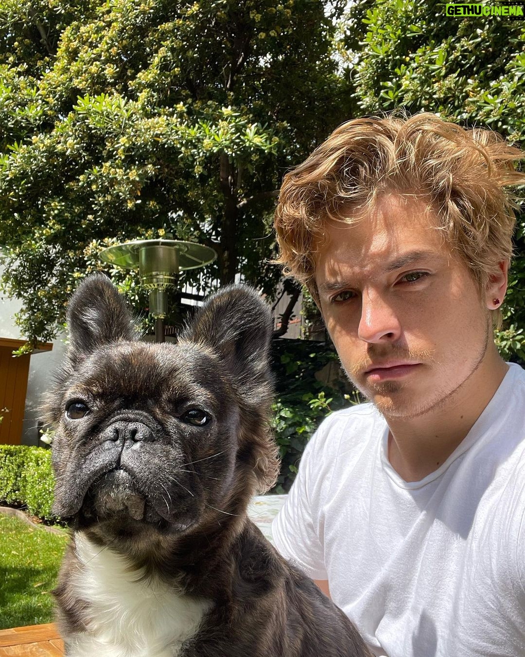 Dylan Sprouse Instagram - These last few weeks in a nutshell