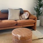 Dylan Sprouse Instagram - The original couch potato