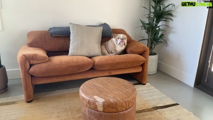 Dylan Sprouse Instagram - The original couch potato