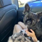 Dylan Sprouse Instagram – It’s giving thanks
