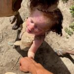 Dylan Thiry Instagram - Je préfère voir cette maman pleurer des larmes de joie que de tristesse 😍🥺 Voici ma plus grande priorité de vie pour ces jours à venir : cette famille, cette maman qui m’ont extrêmement touché par ses paroles et ses larmes. Aujourd’hui le grand jour est arrivé, nous allons commencer les travaux de sa nouvelle maison pour elle et ses enfants, pour leur foyer, un confort, une sécurité, un toit, un nouveau départ les attend bientôt… Une renaissance pour eux et un soulagement qu’elle mérite. @pournosenfants.ong Madagascar