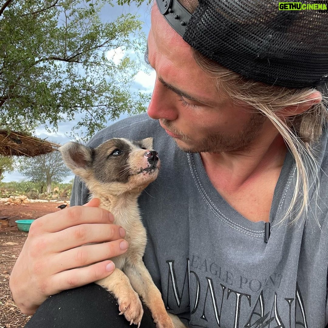 Dylan Thiry Instagram - On oublie pas les animaux de Madagascar 🐶 @pournosenfants.ong