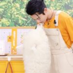 Dylan Wang Instagram – 🍊🍊🍊