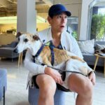 Eddie Peng Instagram - 🌞🌞🌞