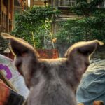 Eddie Peng Instagram -