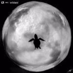 Eddie Peng Instagram -