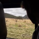 Edgar Ramírez Instagram - 🦘 Wolgan Valley