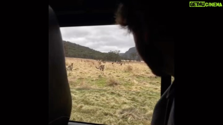 Edgar Ramírez Instagram - 🦘 Wolgan Valley