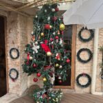 Eesha Rebba Instagram - Merry Christmas everyone🎄♥️🤗🪩 Mumbai - मुंबई