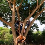 Efraín Ruales Instagram - En la ciudad de guayaquil, turistas pudieron observar una particular raza de monos 🐒 se sospecha era una familia y uno de ellos graciosamente arrebató el celular del turista y se tomó una selfie #anecdotas #turismoecuador 🇪🇨 Restaurant Finca La Gloria