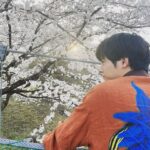 Eiji Akaso Instagram - 2022年度後期のNHK朝ドラ 「#舞いあがれ」に出演させて頂きます！ どうぞ宜しくお願い致します！🙌 https://www.nhk.jp/g/blog/l--ahjri737c/