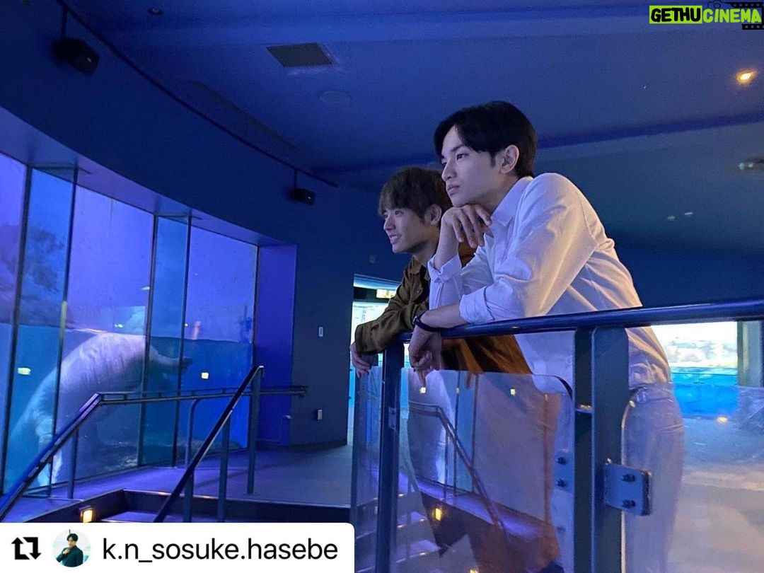 Eiji Akaso Instagram - 副編集長!ロケハン最高でしたね!! #Repost @k.n_sosuke.hasebe with @make_repost ・・・ 水族館のロケハンに行った時です。 途中でフィーチャー部の樋口さんが 来ましたが、会話は確か少なかった気がします。 写真があるので載せてはおきますが あとは、 編集部の佐藤が言おうとしてたことが 気になります。 #OOTD #ootdfashion #fashion #asia #japan #八景島シーパラダイス #彼女はキレイだった #予告が急上昇1位で驚いてます
