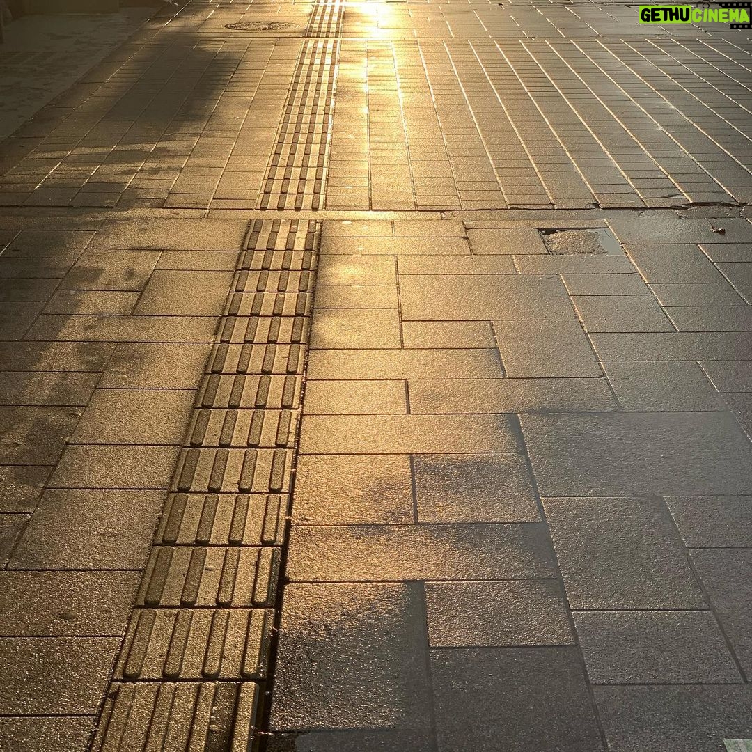 Eiji Akaso Instagram - 日光浴してる時、 湯船に浸かる瞬間、 布団かぶる瞬間、 覆る事ない幸せですな。 ご飯が炊けた時の最初の湯気もですな。 それでは4月、さようなら。